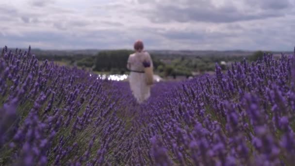 Donna Lavanda Campo — Video Stock