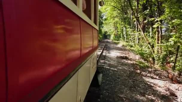 Railroad Trestle Auf Dem Willamette Trolley — Stockvideo