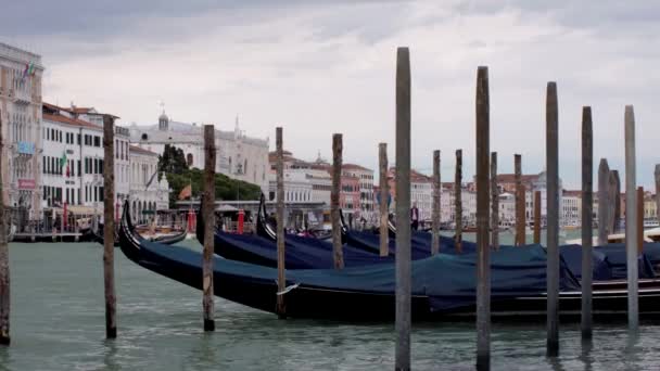 Venice Gondolas Grand Canal — Stock Video