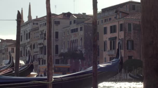 Venice Grand Canal Gondolas — Stock video