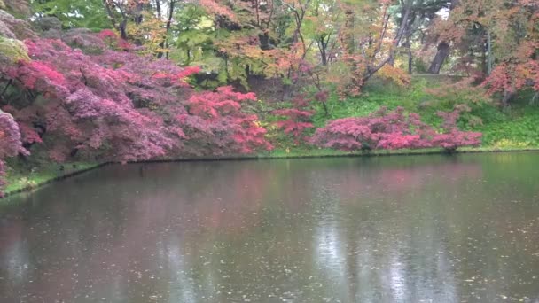 Regen Einem Teich Umgeben Von Herbstfarben — Stockvideo