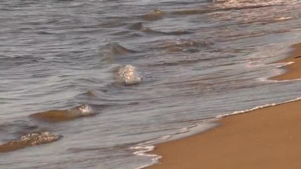 Slow Motion Waves Zwijające Się Sandy Beach Zbliżenie Shoreline Side — Wideo stockowe