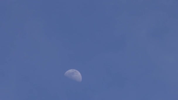 Nuvens Lapso Tempo Sobre Meia Lua Céu Azul Pálido Fase — Vídeo de Stock