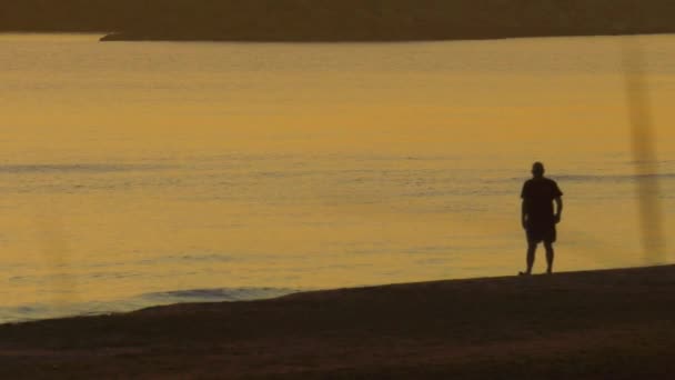 Σιλουέτα Μεσήλικας Που Περπατάει Στην Ειρηνική Ακτή Την Αυγή Αργή — Αρχείο Βίντεο