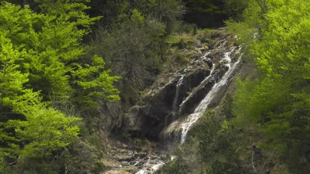 Cascadas Alpinas Pacíficas Que Caen Cascada Por Rocas Bordeadas Por — Vídeo de stock