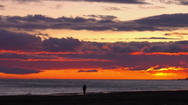 Dramatic Beach Sunrise Older Man Silhouetted Silver Sea Dawn — Stock Video