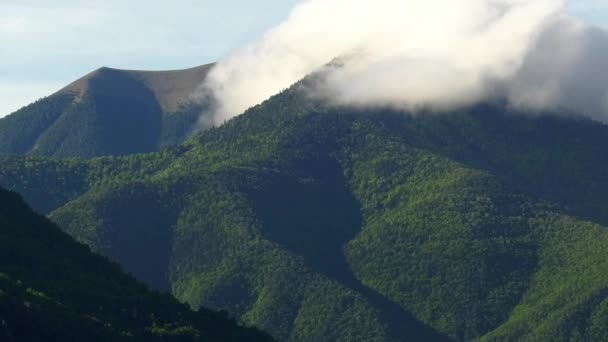 Nuvens Sobre Montanhas Cobertas Pinhal Pirinéus Espanha Zoom — Vídeo de Stock