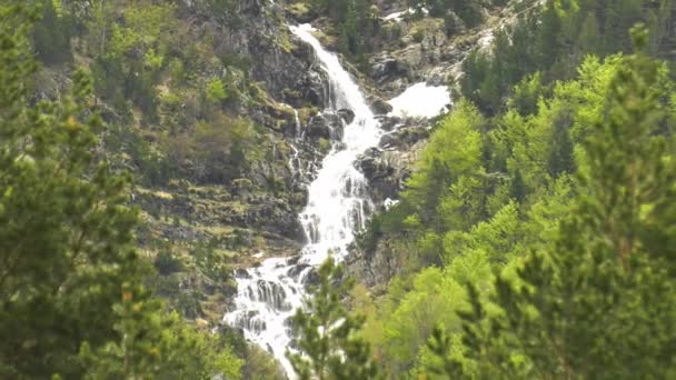 Hoge Watervallen Rotsachtige Berghelling Gezien Door Pijnbomen Zoom — Stockvideo