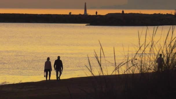 老夫妇在黎明时分一起在海滩上散步 在平静的海面上轮廓相映成趣 动作缓慢 — 图库视频影像
