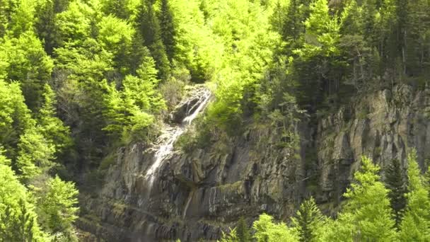 Picturesque Forest Waterfall Cascading Grey Rockface Zoom — Stock Video