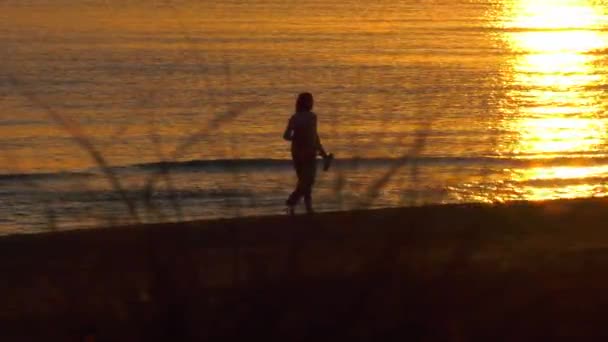 Une Femme Deux Hommes Marchant Sur Plage Aube Lumière Soleil — Video