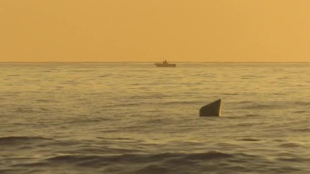 Kleine Vissersboot Aan Zee Horizon Bij Dageraad Boei Dobberen Golven — Stockvideo