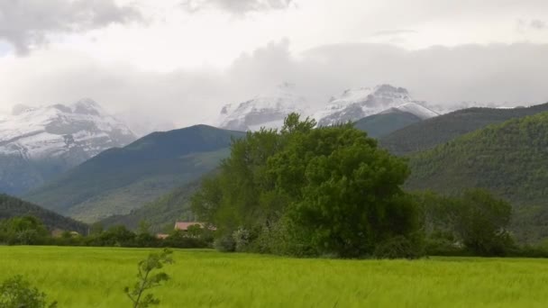Śnieżne Góry Zielona Dolina Pirenejach Hiszpania Zoom — Wideo stockowe