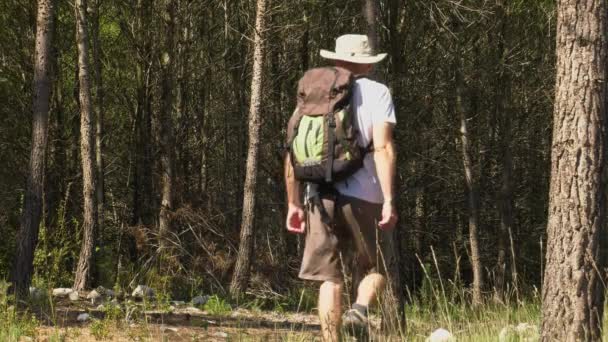 Hombre Equipo Senderismo Mochila Caminando Por Sendero Forestal — Vídeos de Stock