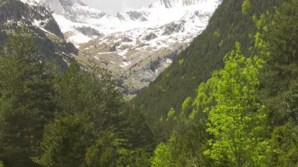 Vale Verde Arborizado Nas Montanhas Dos Pirenéus Espanha — Vídeo de Stock