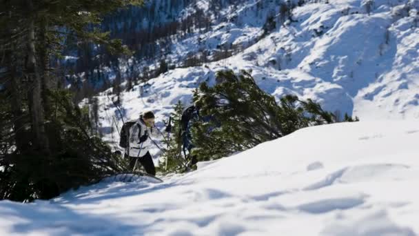 登山家のグループは冬に山に登る スロベニアアルプスでのトレッキング — ストック動画