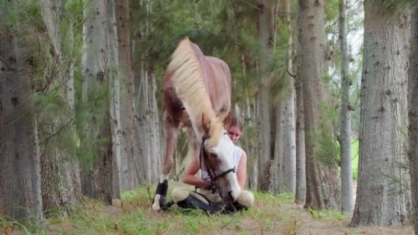 Relatie Tussen Paard Vrouw Knuffelen Het Bos — Stockvideo