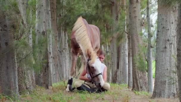 Häst Och Kvinna Relation Krama Trä — Stockvideo