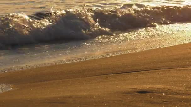 Ωκεάνια Κύματα Στην Αμμώδη Παραλία Κατά Την Ανατολή — Αρχείο Βίντεο