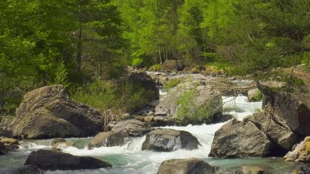 Ruisseau Montagne Précipité Dans Forêt Zoom Arrière — Video