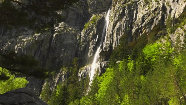 Dramatisk Bergvägg Med Högt Vattenfall Över Tallar — Stockvideo