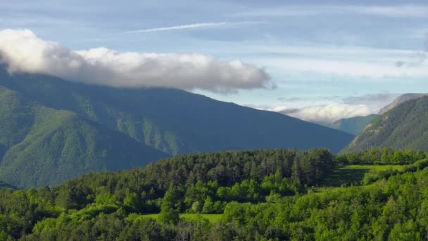Awan Atas Pemandangan Pegunungan Tertutup Pinus Pyrenees Spanyol — Stok Video