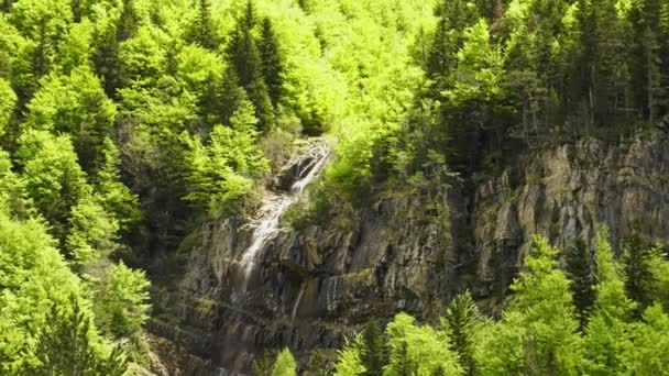 Vattenfall Skogen Pyrenéerna — Stockvideo