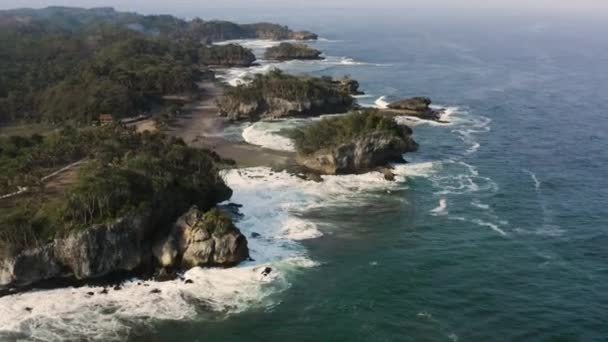 Costa Natural Con Bosque Tropical Olas Rompiendo Largo Costa Toma — Vídeo de stock