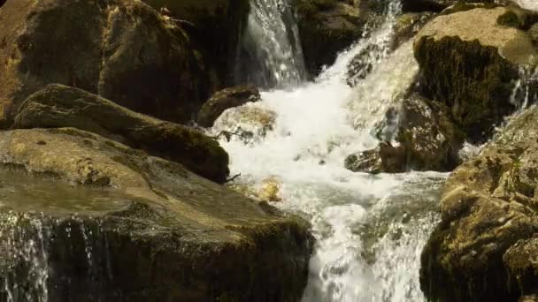 Arroyo Montaña Corriendo Sobre Rocas Rocas Cerca — Vídeo de stock