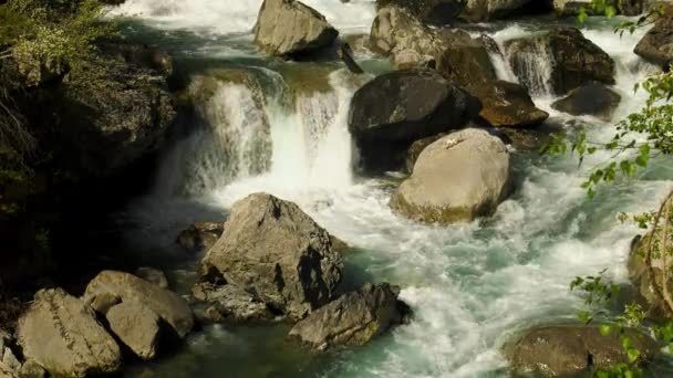 Arroyo Montañoso Alpino Que Surge Sobre Rocas Rocas Cámara Lenta — Vídeos de Stock