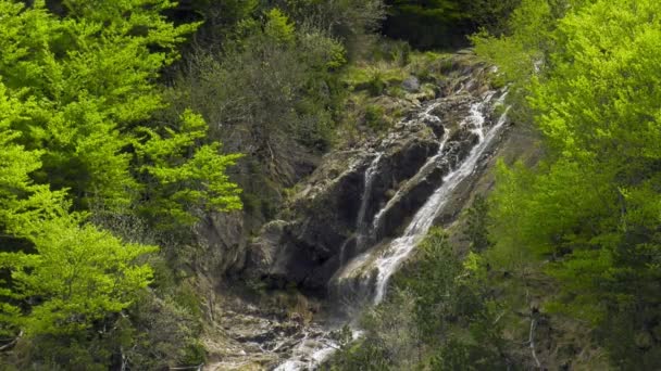 Arroyo Montaña Cascada Sobre Cara Roca Bosque Verde — Vídeo de stock
