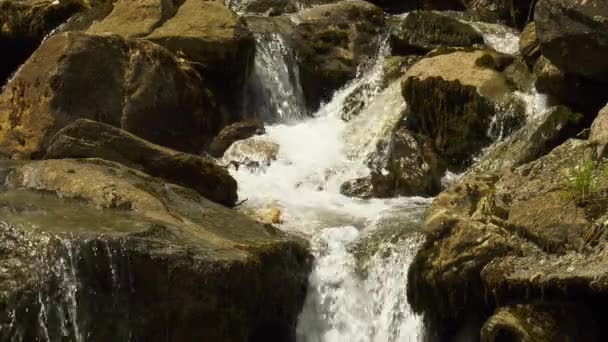 Water Boven Rotsen Een Bergstroom Slow Motion — Stockvideo