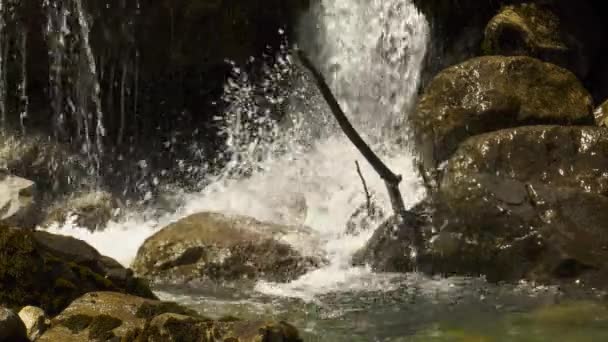 Água Cascata Para Baixo Rochas Córrego Montanha Close — Vídeo de Stock