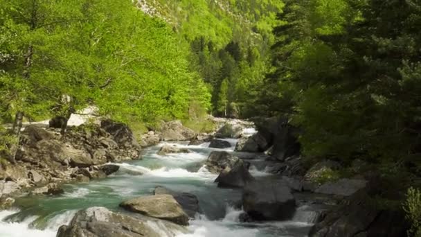 Ταχεία Ροή Ποταμού Δάσους Στην Κοιλάδα Των Πυρηναίων Ισπανία — Αρχείο Βίντεο
