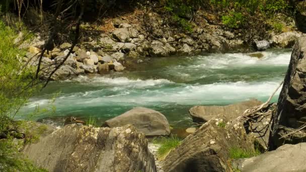 Fiume Ruscello Montagna Che Scorre Veloce Pirenei — Video Stock