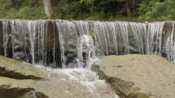 Klare Wasserfallkaskaden Über Kurze Felswand Wald Sonnigen Tagen Statische Nahaufnahme — Stockvideo