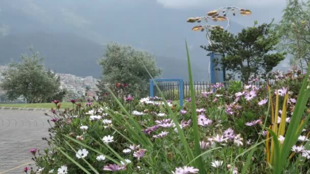 Промисловий Туманний Ранок Кіто Еквадорі Над Мальовничими Гірськими Садами Рожевими — стокове відео