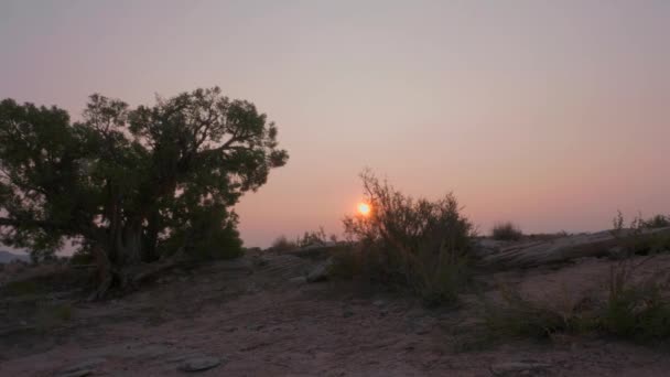 Величезне Помаранчеве Сонце Заходить Над Силуетними Деревами Чагарниками Пустелі Моав — стокове відео