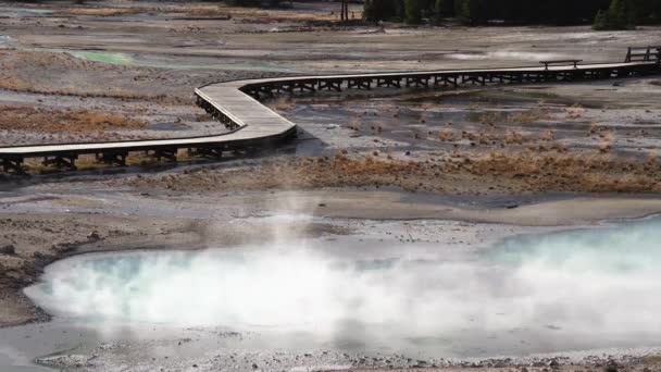 옐로스톤 공원의 근처에 수영장에서 증기가 나온다 분갈이가 보인다 — 비디오