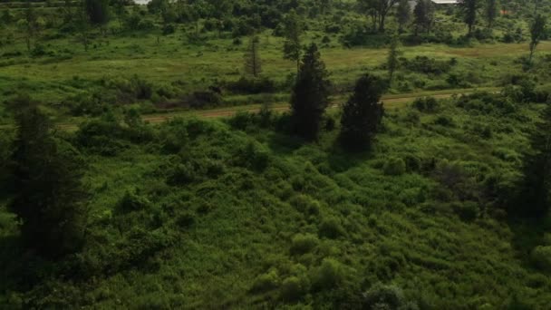 Campo Floresta Que Conduz Estradas Terra Convergentes Aérea Pan Direita — Vídeo de Stock