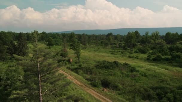Schotterpiste Die Von Feld Antenne Schwenk Links Zeitlupe Ins Waldgebiet — Stockvideo