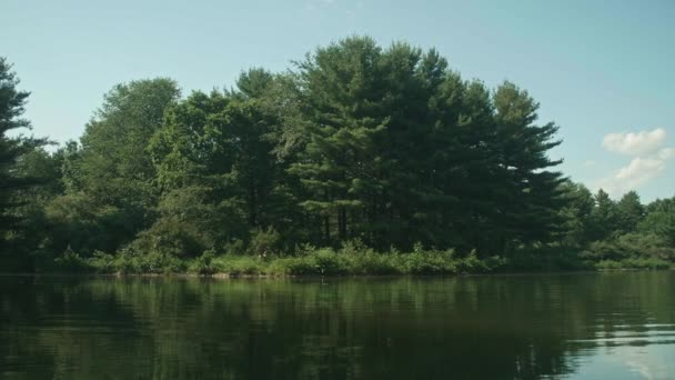 View Shore Peaceful Lake Summer Pan Left — Stock Video