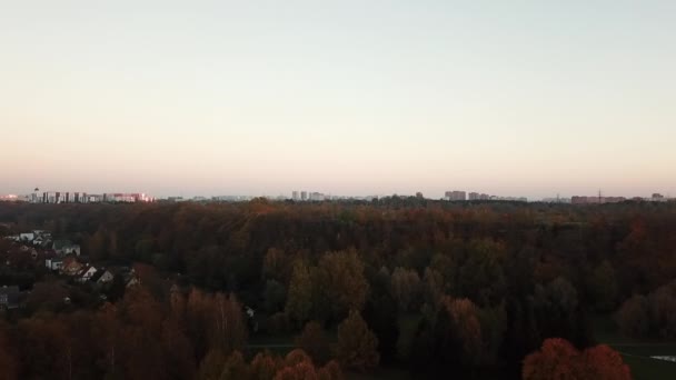 Drönarflygning Över Maarjamagi Skog Tallinn Estland — Stockvideo