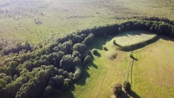 Widok Powietrza Drona Bagna Soontaga Estonii — Wideo stockowe