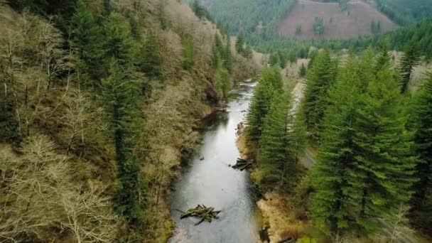 Let Nad Řekou Washougal Dougan Falls Nezlepšená Cesta Vede Pod — Stock video