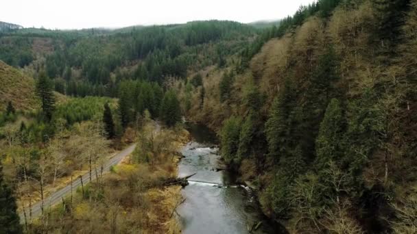 Flight Scenic Washougal River Just Dougan Falls Unimproved Road Parallels — Stock Video