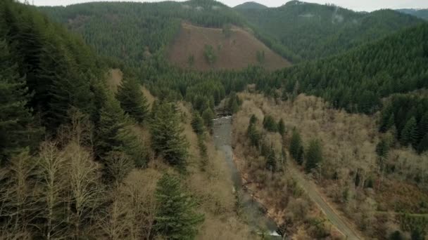 Dramático Vuelo Sobre Valle Del Río Washougal Decreciendo Cerca Evergreens — Vídeos de Stock