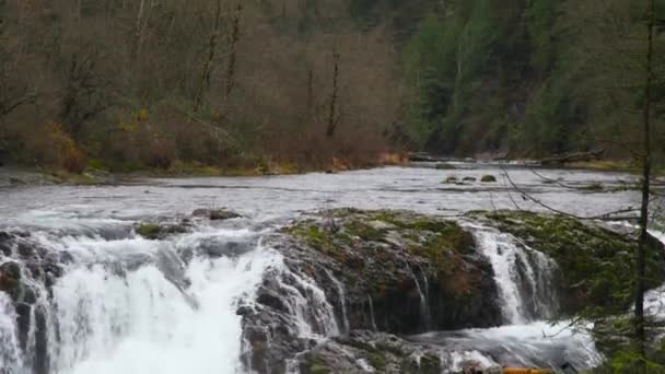 Río Washougal Dougan Falls Finales Otoño Primer Plano — Vídeos de Stock