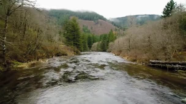 Vuelo Lento Sobre Río Washougal Con Pan Lento Mostrando Árboles — Vídeos de Stock