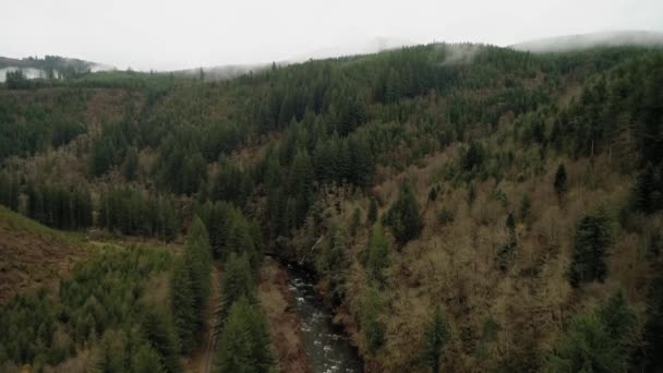 Letí Proti Proudu Nad Řekou Washougal Směrem Mrakům — Stock video